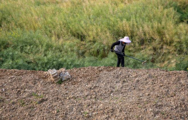 在农村里，你见过低调的人有多低调？