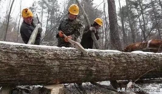 底层社会的普通人真实生活是什么样子的？